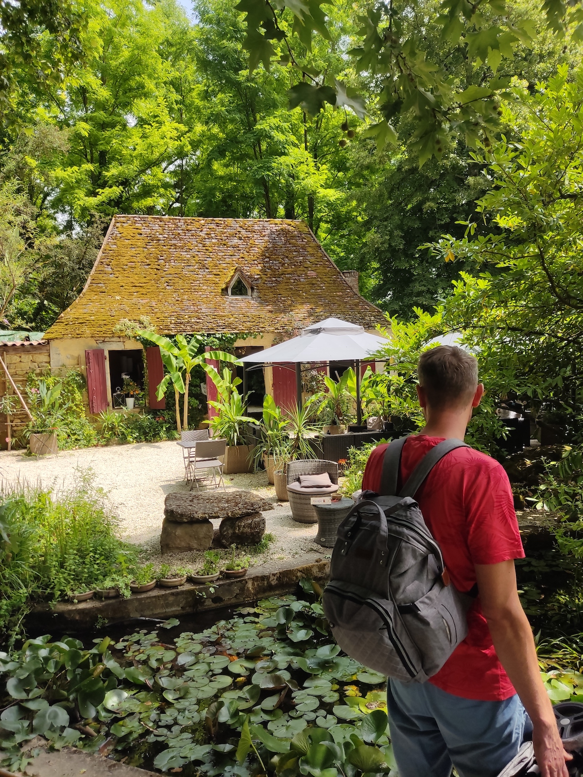 Bamboetuinen in la Roque Gageac