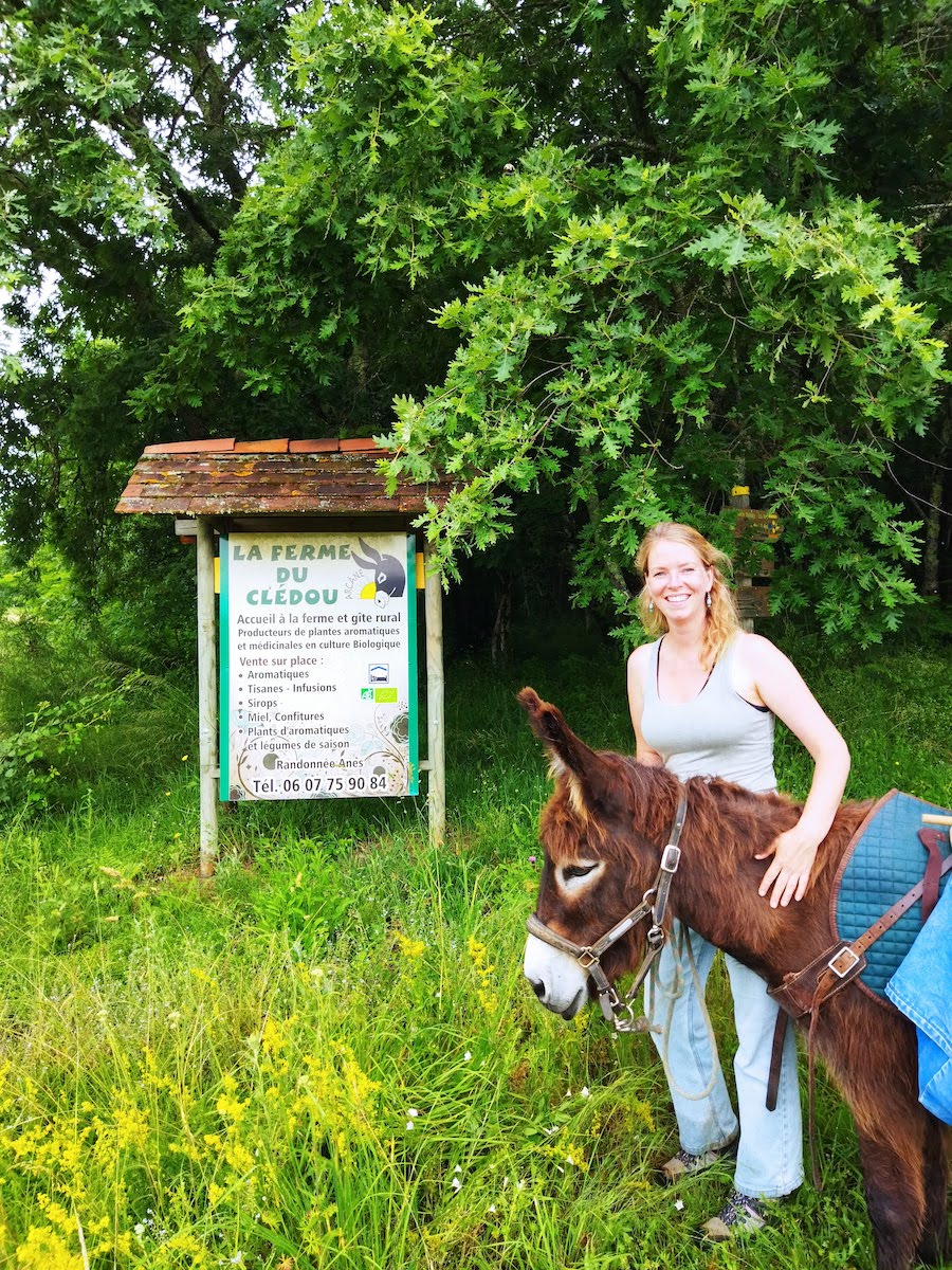Ezelwandeling, pauze en voeren