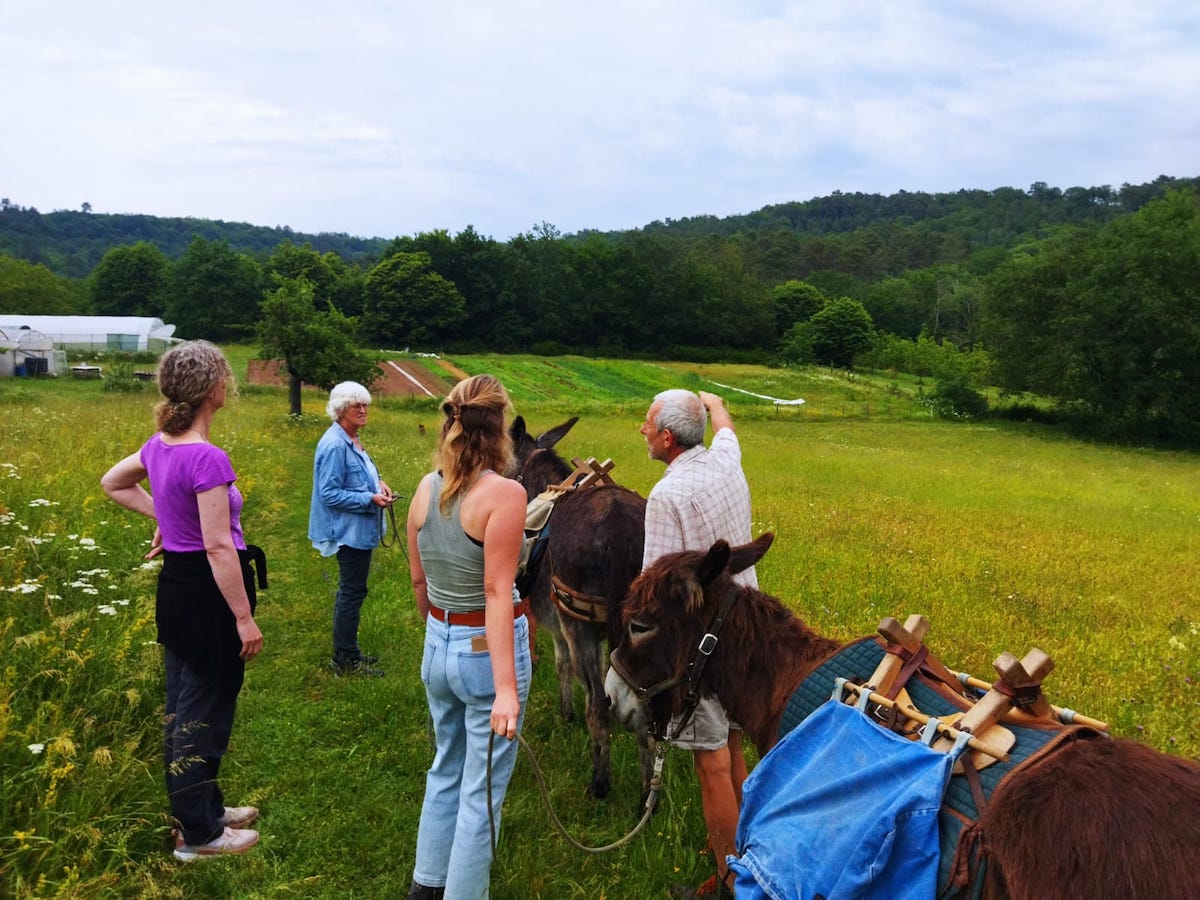 Uitleg tijdens de ezelwandeling
