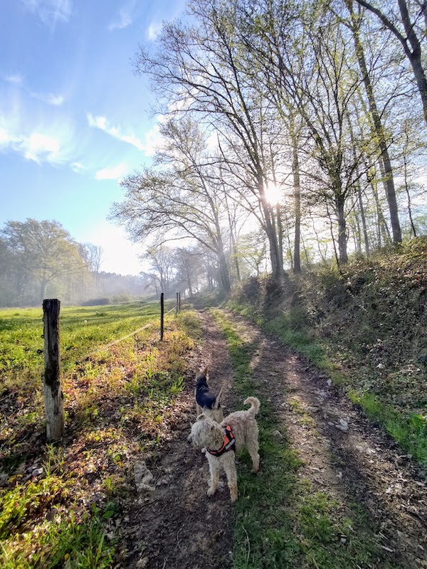 Wandelen bij kasteel Fenelon