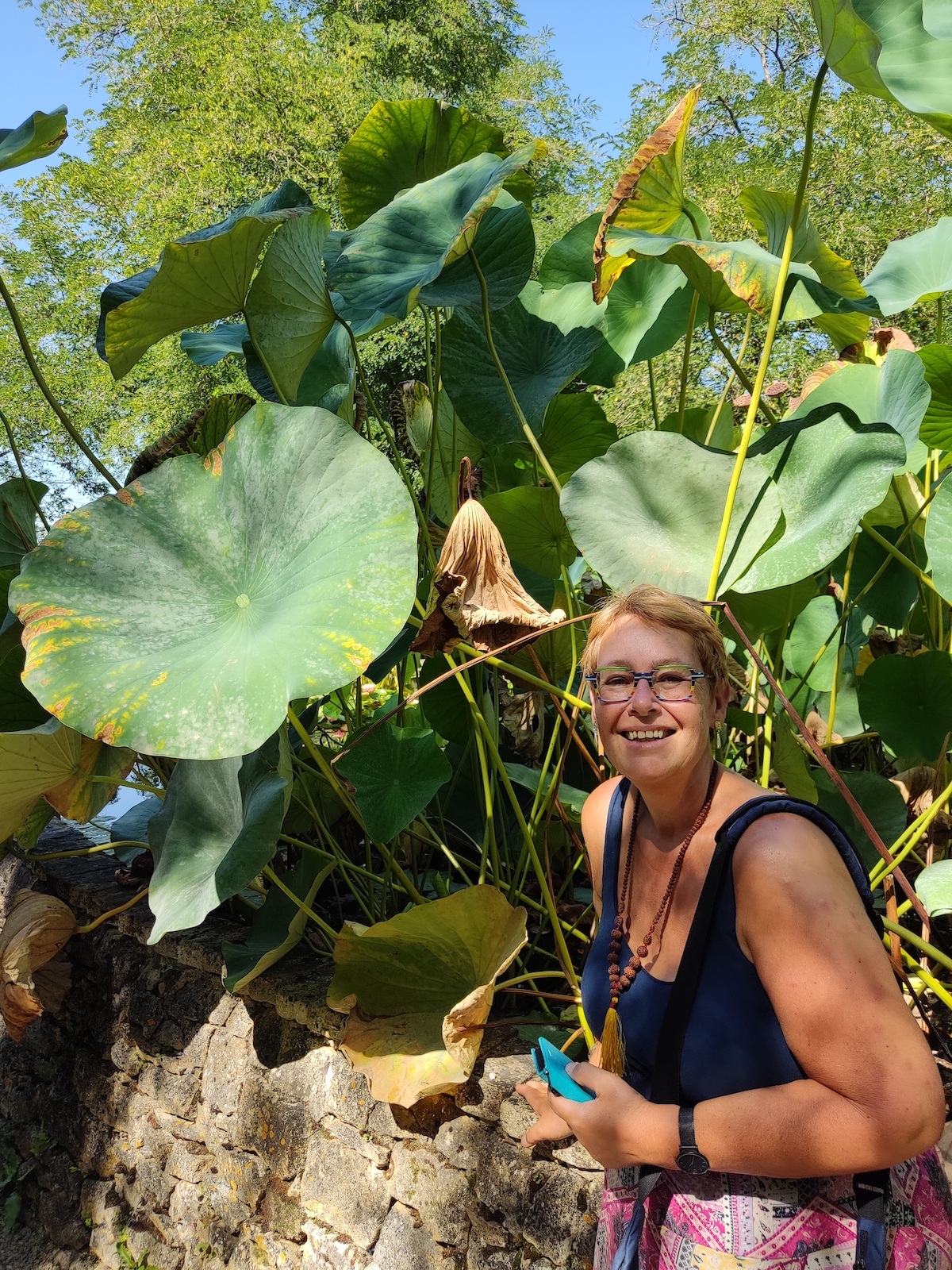 Tropische planten in Jardin d'eau